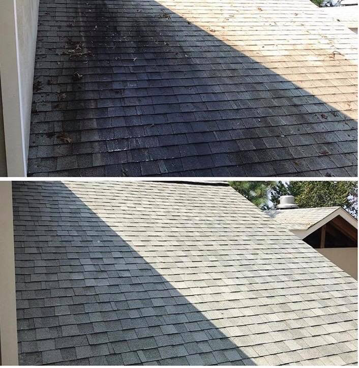 Residential roof cleaning services in Minneapolis, MN