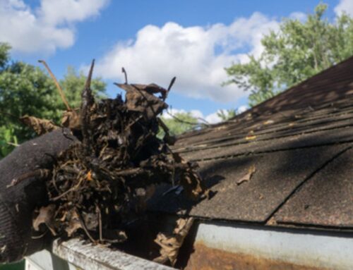 Fall Is Here, Make Sure Your Gutters Are Clear!