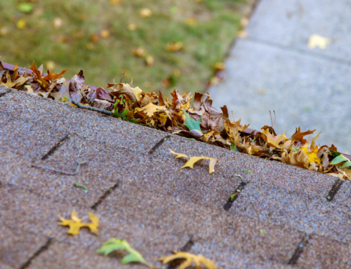 Soft Washing Your Roof May Prevent Major Winter Damage