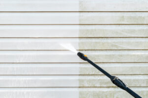 house washing maple grove