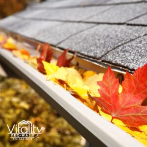 burnsville gutter cleaning near me